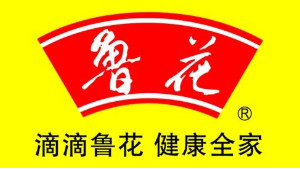 菲爾特潤滑油合作客戶-魯花